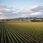 How to use Solar Energy in Agriculture