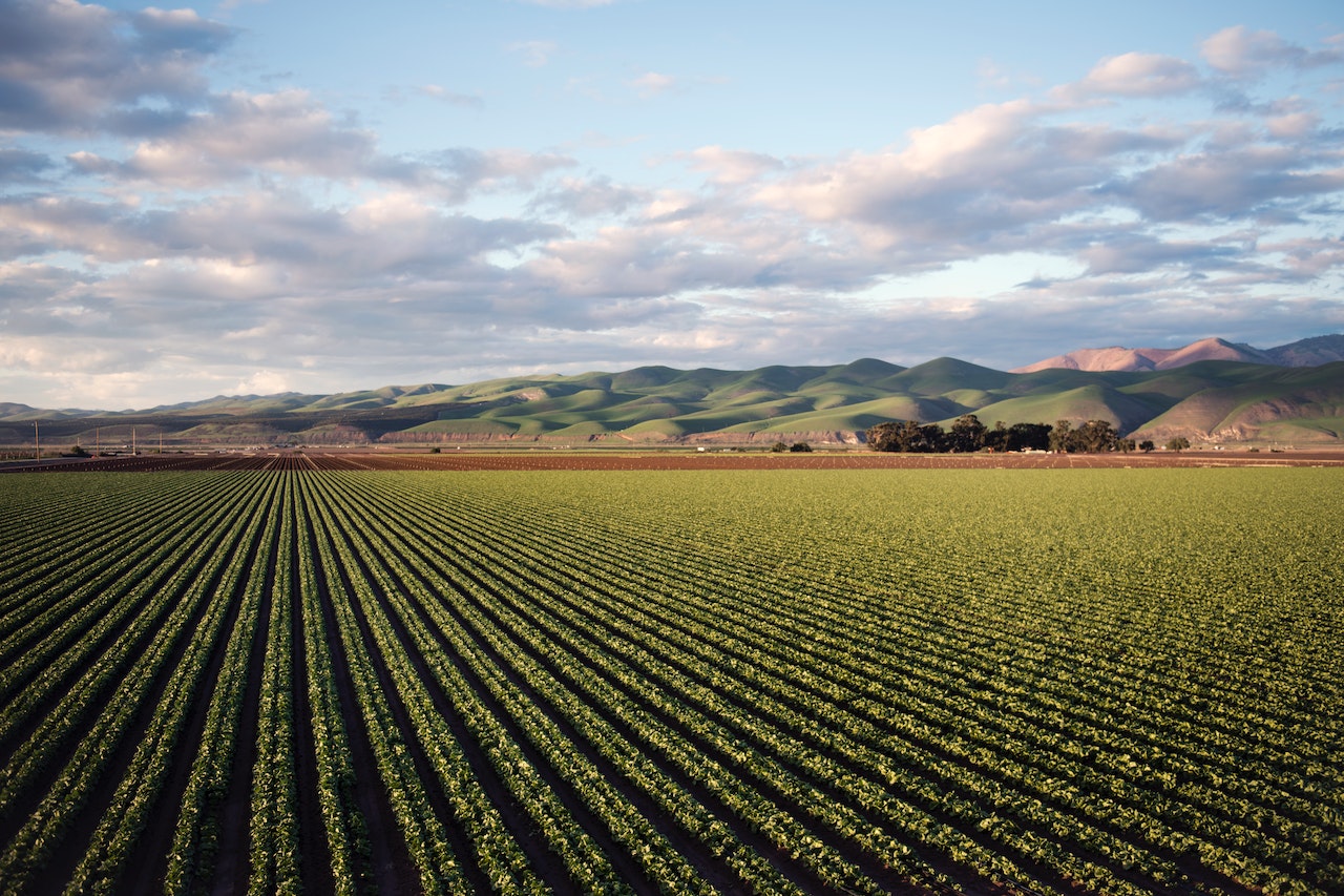 How to use Solar Energy in Agriculture